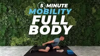5 Minute Hips & Back Mobility | Thrive Five Day 6