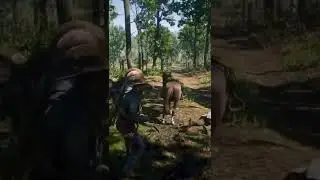 Road Rage - Red Dead Online #gaming #shorts #rdr2