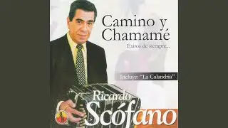 El Tero
