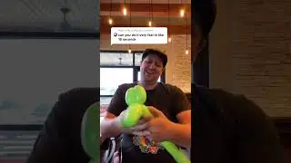 Fastest Balloon Dog Ever! #balloonjosh #balloontutorial #balloontok #balloontiktok #balloondog