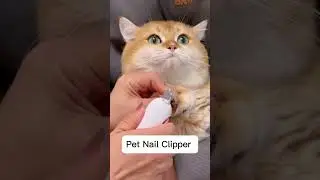 Adjustable Round Hole Pet Safe Clippers #cats #clippers #catlover #petaccessories #shorts