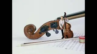 Maak kennis met de strijkinstrumenten: Dit is de contrabas