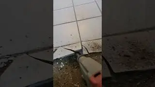 Easy Way to Demo Tile #diy #construction #floor #dumptruck #tools #handmade #workhard #tiger