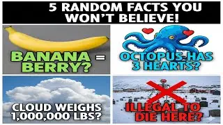 🤯 BANANAS ARE BERRIES?! & 3-Heart Octopuses! (1-Minute Facts)