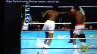 sugar ray vs motor city cobra 1