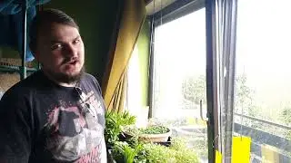 Wo meine 1000 Muschelblumen ihren Platz im Aquarium und Beh&auml;ltern gefunden haben