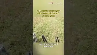All-terrain 'lawn tank' robot takes fieldwork to next level