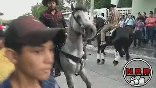 DESFILE HÍPICO EN NUEVA ESPARTA, LA UNIÓN