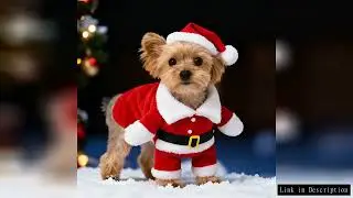 Cute Dog Santa Claus Outfit Christmas Costume for Small Dogs Cats Yorkie Cosplay Clothes Dress Up Ju