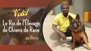 Il fait fortune dans l’élevage de chiens de race au Bénin