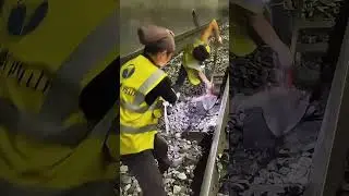 Old-School Railway Maintenance in Action