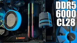 KLEVV URBANE V RGB &mdash; обзор памяти DDR5 с указанием скорости и таймингов