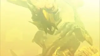 Monster Hunter 4 Ultimate: First Fight Najarala