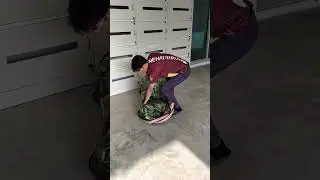 วิธีม้วนเก็บเต็นท์สปริงที่ง่ายที่สุดในโลก
