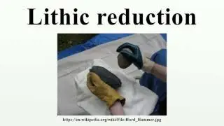 Lithic reduction