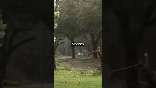 Storm Eowyn Wreaks Havoc Across the UK!