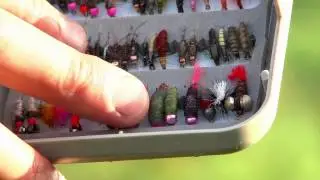 Czech Nymphing Fly Selection