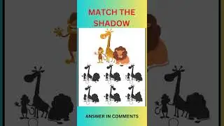 Can You Find The Correct Shadow | #quiz #findtheway #spot #funtime  #quiz time #quiz challenge