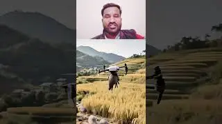 ajj yeh sowar ni bachy gy #duet #shortsyoutube #viralvideo #farming