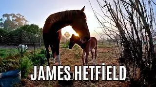 New Baby on the FAT PONY FARM