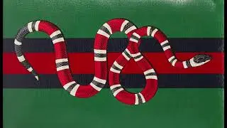 Snakeking － 蛇王從來唔蛇王