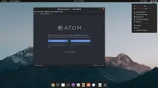 Install Atom editor for C/C++  in Ubuntu/Linux. 'Xterm' could not spawned issue solved.