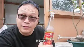 养花别买药！“米酒”浇花，杀菌驱虫生根还抗寒