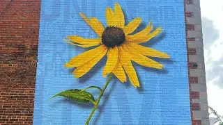 Sunflower mural sprouts up in downtown Naperville