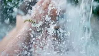 Transitions - Spring with Finn Iles