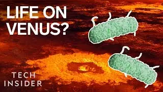 Forget Mars &mdash;&nbsp;There Could Be Alien Life On Venus