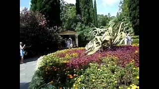 Сочи. Национальный парк Дендрарий.Sochi. National Park Arboretum.