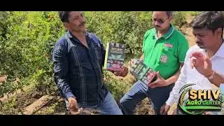 निमितोद कंट्रोल करने का सबसे बढ़िया प्रोडक multiplex company का Safe Root