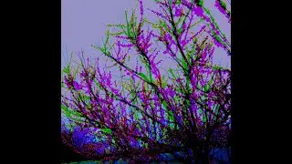 саша стингрей для HAPPY_KITTY_DRUGS - Lifelong trip 2020 skit (вдохновлённое 27.5-часовым треком)