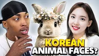 What Animal Face Type Do You Have? | Korean Animal Face Types Reaction & Breakdown