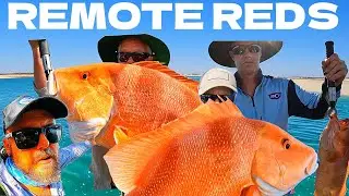 REMOTE RED EMPEROR/TROUT NEVER BEEN FISHED.