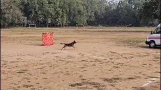 NSG Commndo K 9 demo live  🙏🙏🐕🐕🐕