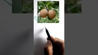 CHIKU EASY DRAWING #shortsfeed #chiku #simpleartwork