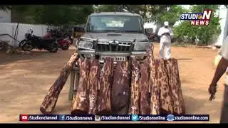 Police Arrest Red Sandal Smugglers Gang in YSR district | Studio N