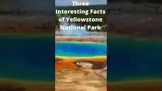 Three Interesting Facts of Yellowstone National Park