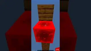 Minecraft Myths TRUE or NOT