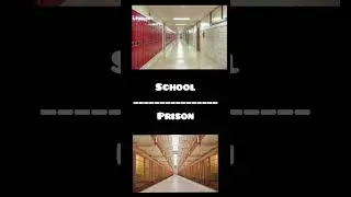How did I just notice this