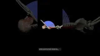 Flexing Arm While Lying Down &mdash; Muscular Emphases 