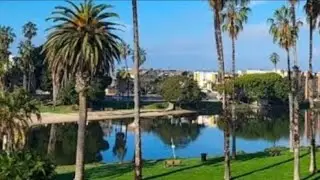 A Quiet Day at a Los Angeles Lagoon ☀️🌿 | Calm Live Stream #QuietMorning #LosAngeles #calmlivestr