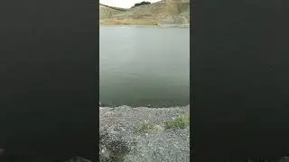 The fastest catch ever#subscribe me