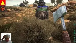 ARK auf GTimeTV Server Endlich gehts bergauf wir bauen eine neue Base