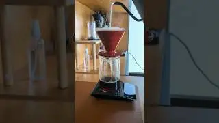 Brewed 