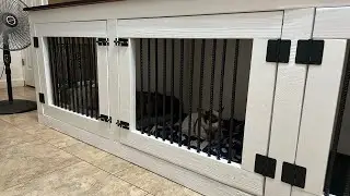 EPISODE 5: Building a Custom Indoor Dog Kennel