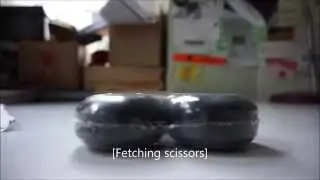 Cheap Skateboard Wheels/Bearings Review
