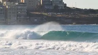 Surfing Bondi Beach