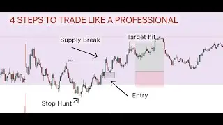 How To Trade Like a Professional in 4 Simple Steps